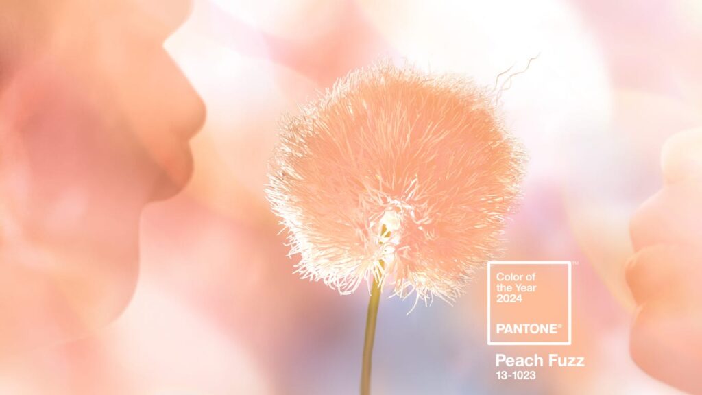 Peach Fuzz